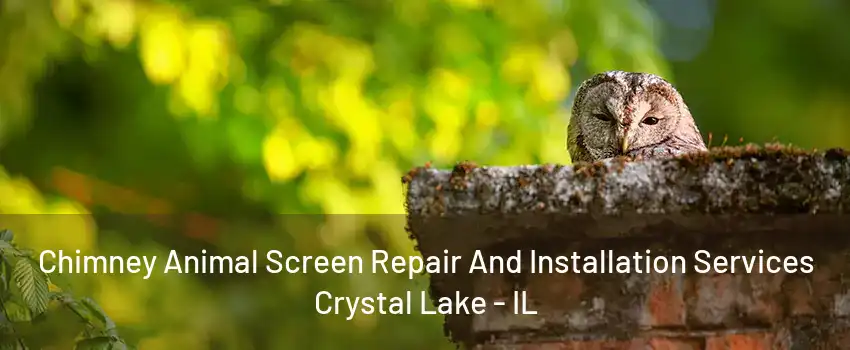 Chimney Animal Screen Repair And Installation Services Crystal Lake - IL