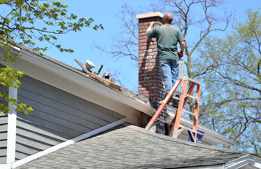 Chimney & Fireplace Inspections Services in Crystal Lake, IL