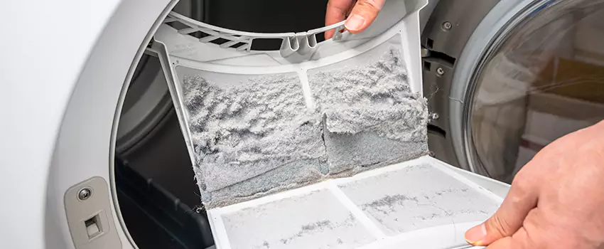 Best Dryer Lint Removal Company in Crystal Lake, Illinois