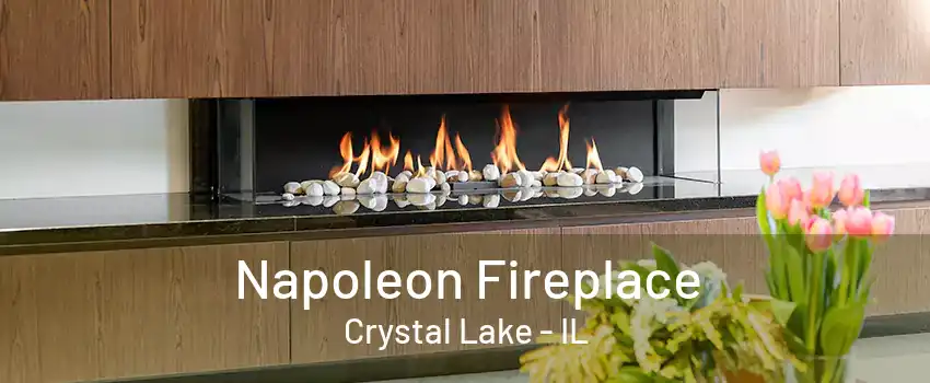 Napoleon Fireplace Crystal Lake - IL